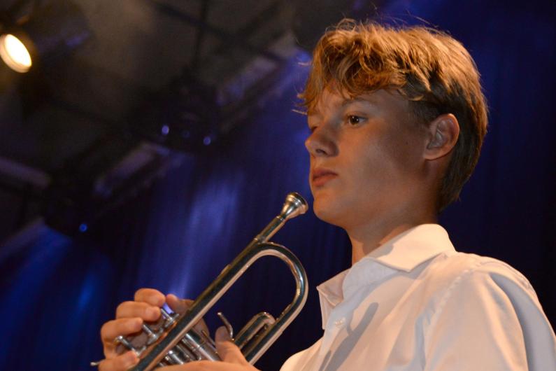 Aaron Vandersarren - muzikanten